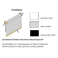 Basisrollos 42.616.21 transparent in weiß